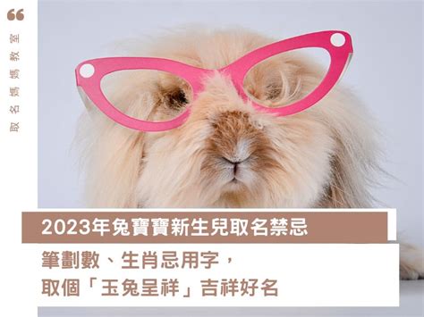 2023兔年寶寶|2023兔寶寶取名吉祥＆禁忌用字｜有這個字一生不愁吃喝，陪伴 